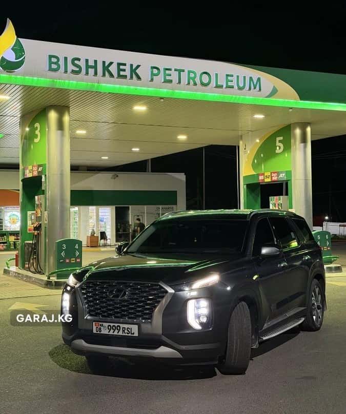 Hyundai Palisade 2020, Сокулук