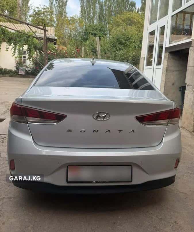 Hyundai Sonata 2018, Араван
