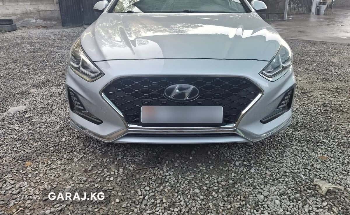 Hyundai Sonata 2020, Ош