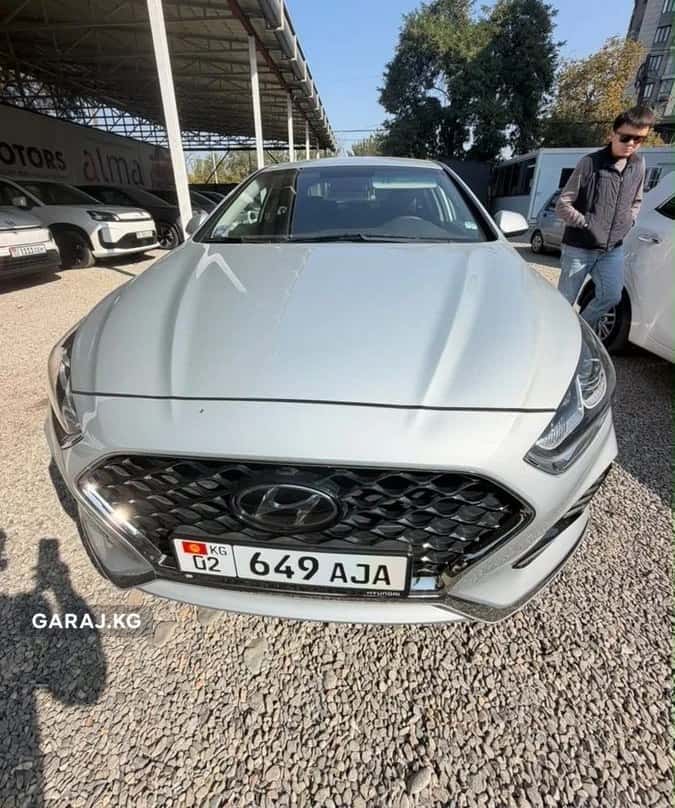 Hyundai Sonata 2019, Ош
