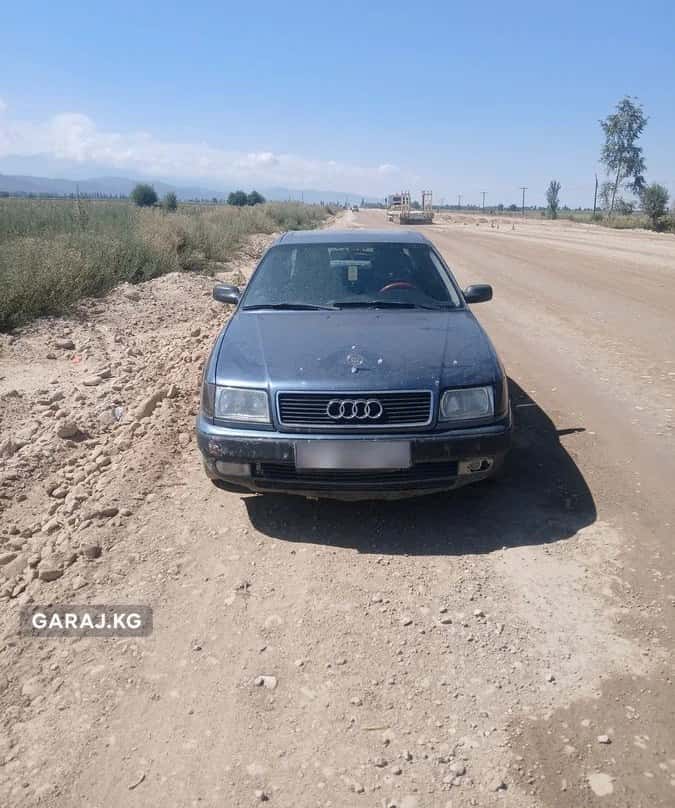 Audi 100 1991, с. Тамга