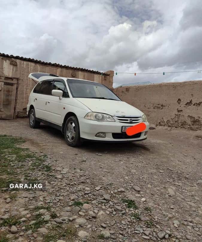Honda Odyssey 2000, Кочкорка