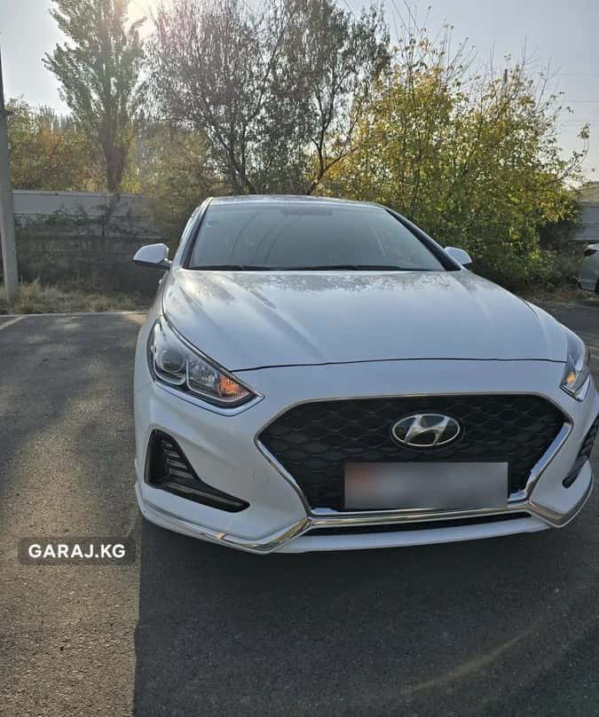Hyundai Sonata 2021, Ош
