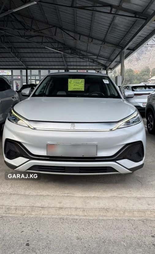 BYD Yuan Plus 2022, Ош
