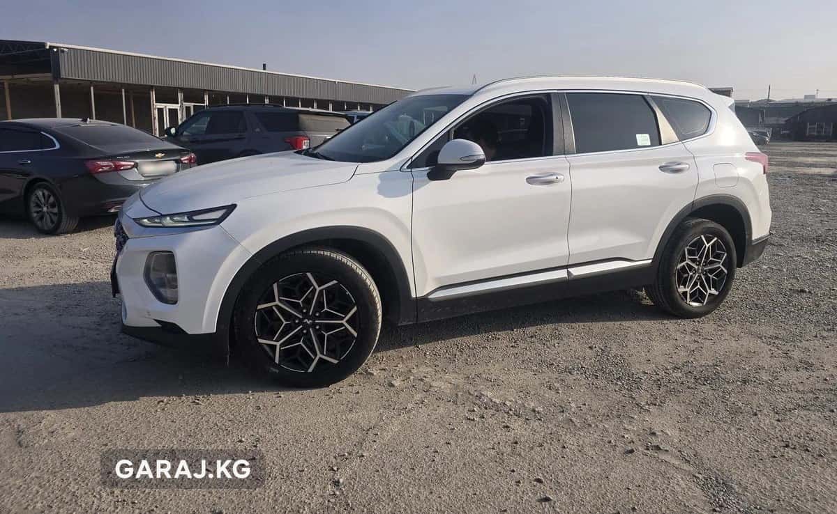 Hyundai Santa Fe 2019, Ош