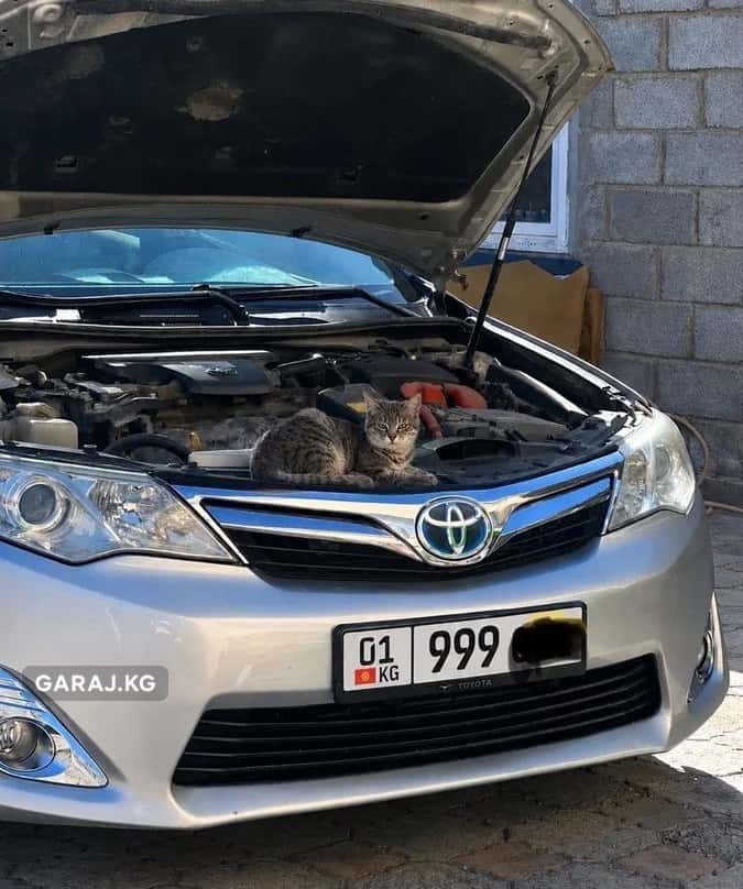 Toyota Camry 2012, Бишкек