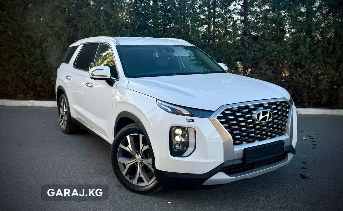 Hyundai Palisade 2021, Сокулук