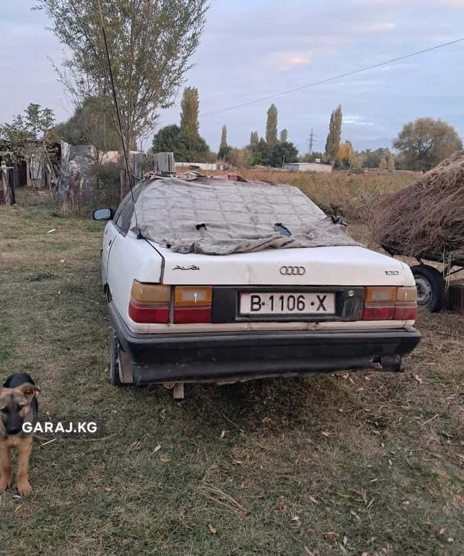 Audi 100 1989, Беловодское