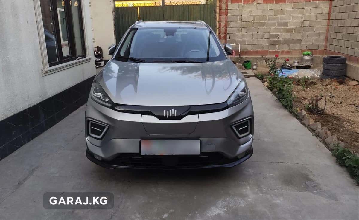 Weltmeister EX5 2020, Ош