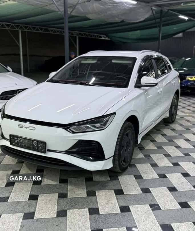 BYD e2 2023, Ош