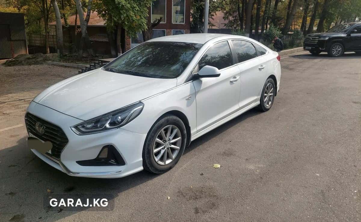 Hyundai Sonata 2018, Ош