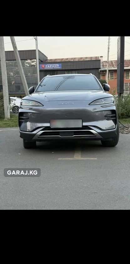 BYD Song Plus 2024, Ош