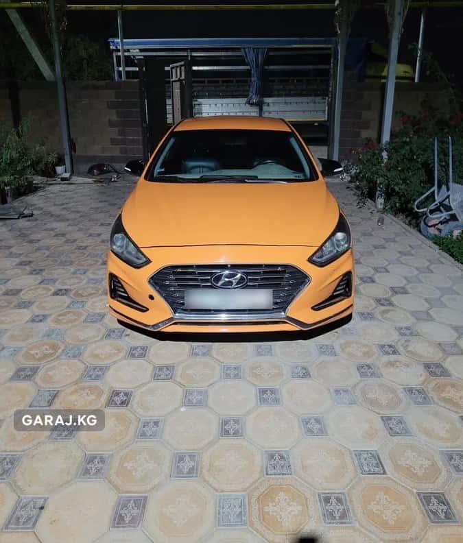 Hyundai Sonata 2018, Шопоков