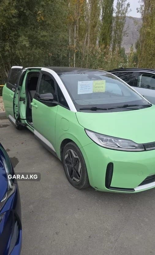 BYD D1 2021, Ош