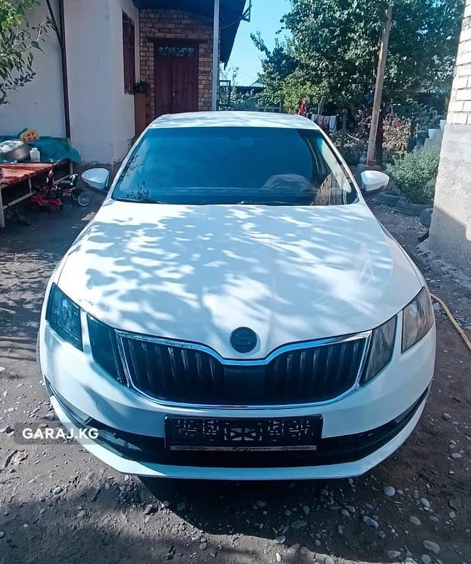 Skoda Octavia 2018, Маасы