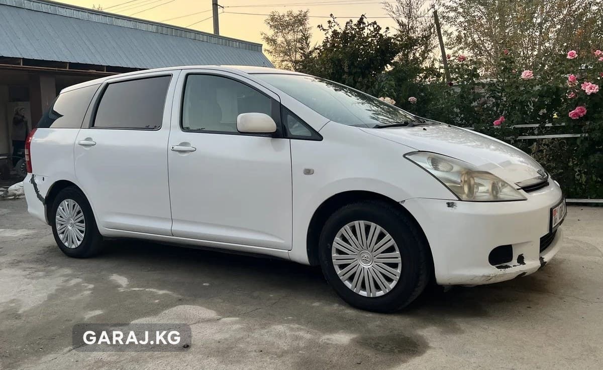 Toyota Wish 2003, Сузак
