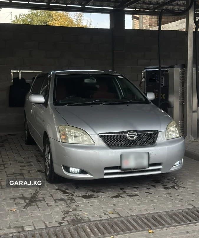 Toyota Allex 2003, Кант
