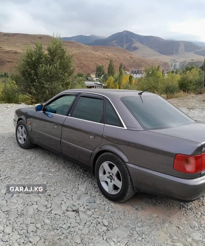 Audi A6 1995, Кочкорка