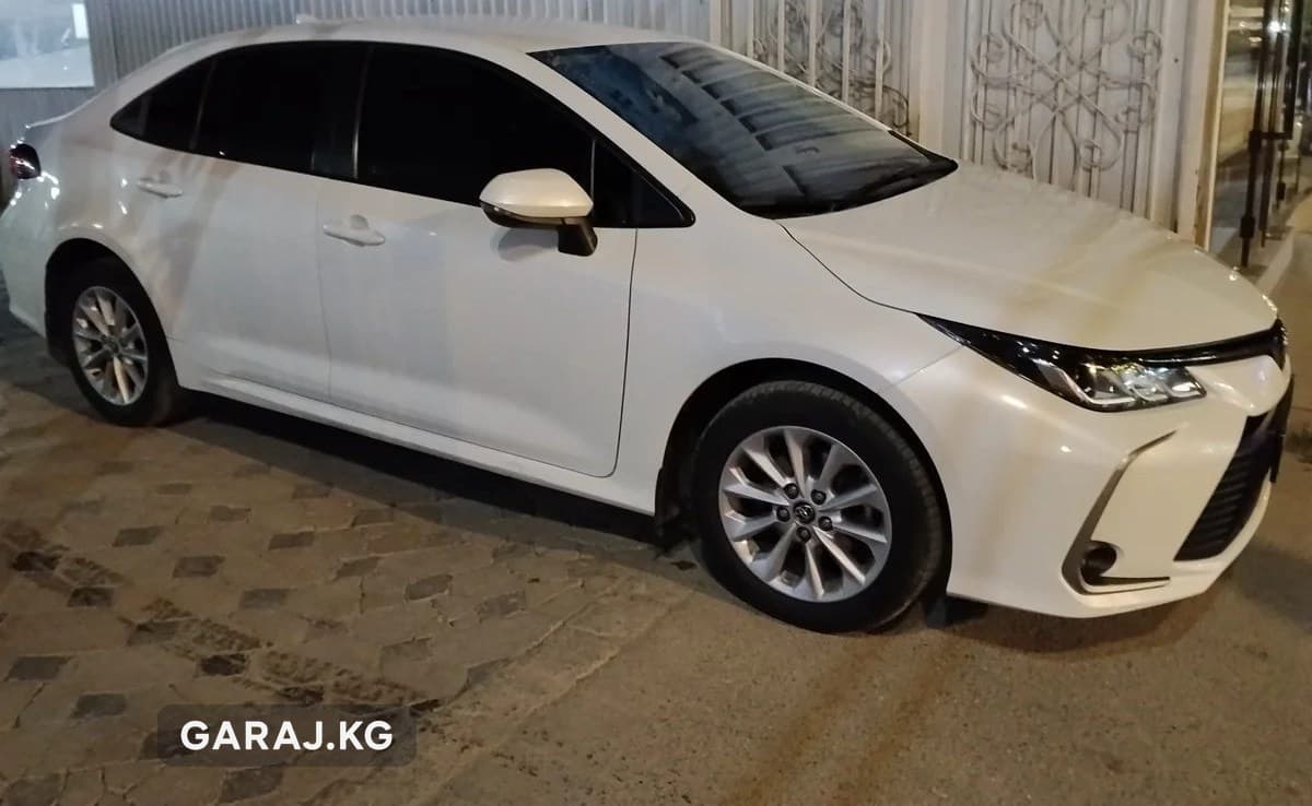 Toyota Corolla 2019, Ош