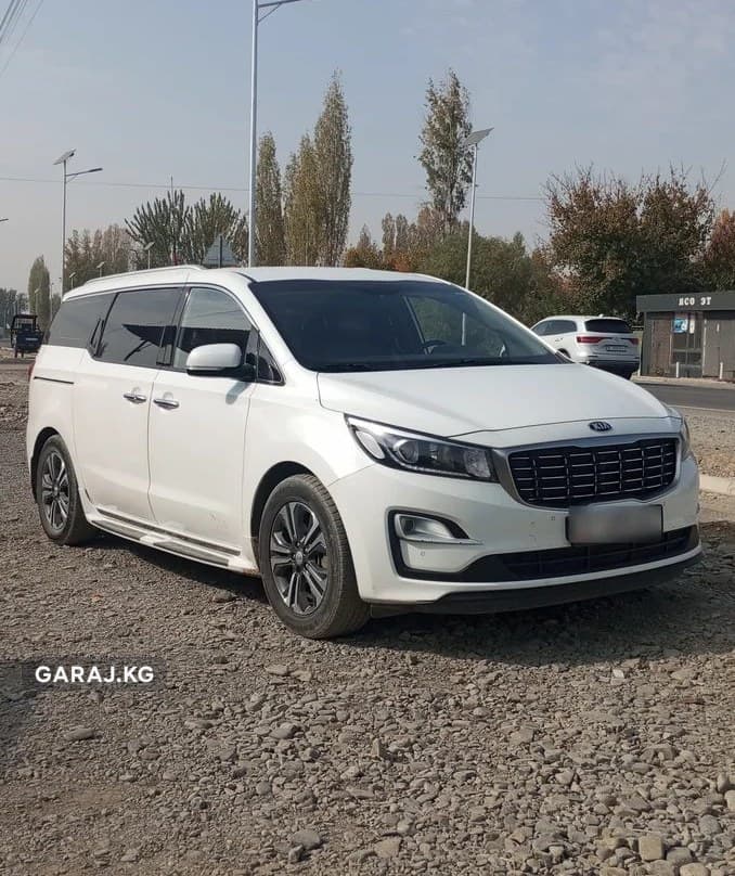 Kia Carnival 2019, Ноокат