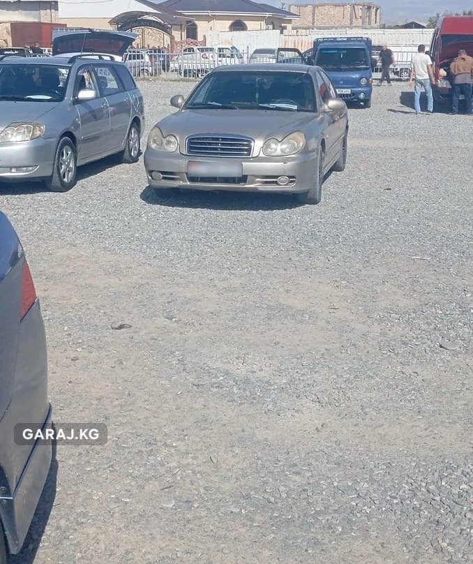Hyundai Sonata 2005, Сузак