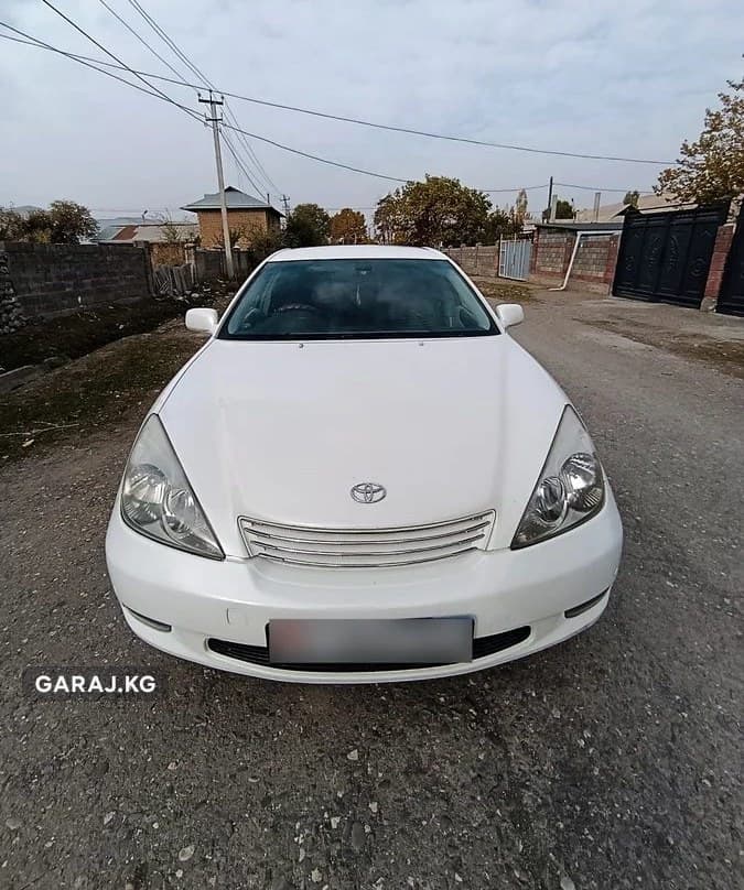 Toyota Windom 2003, Узген