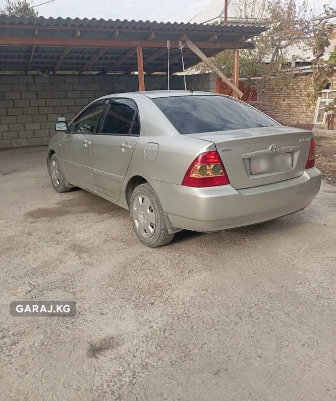 Toyota Corolla 2005, Ноокат