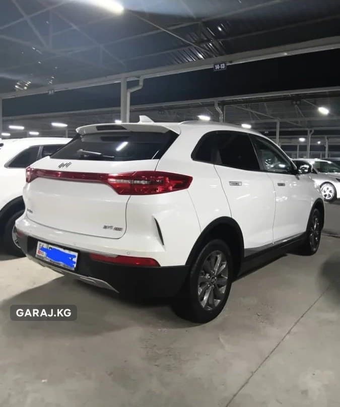 Weltmeister EX5 2020, Ош