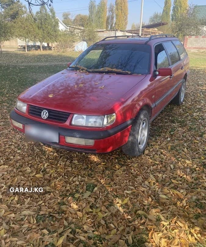 Volkswagen Passat 1996, Токмок