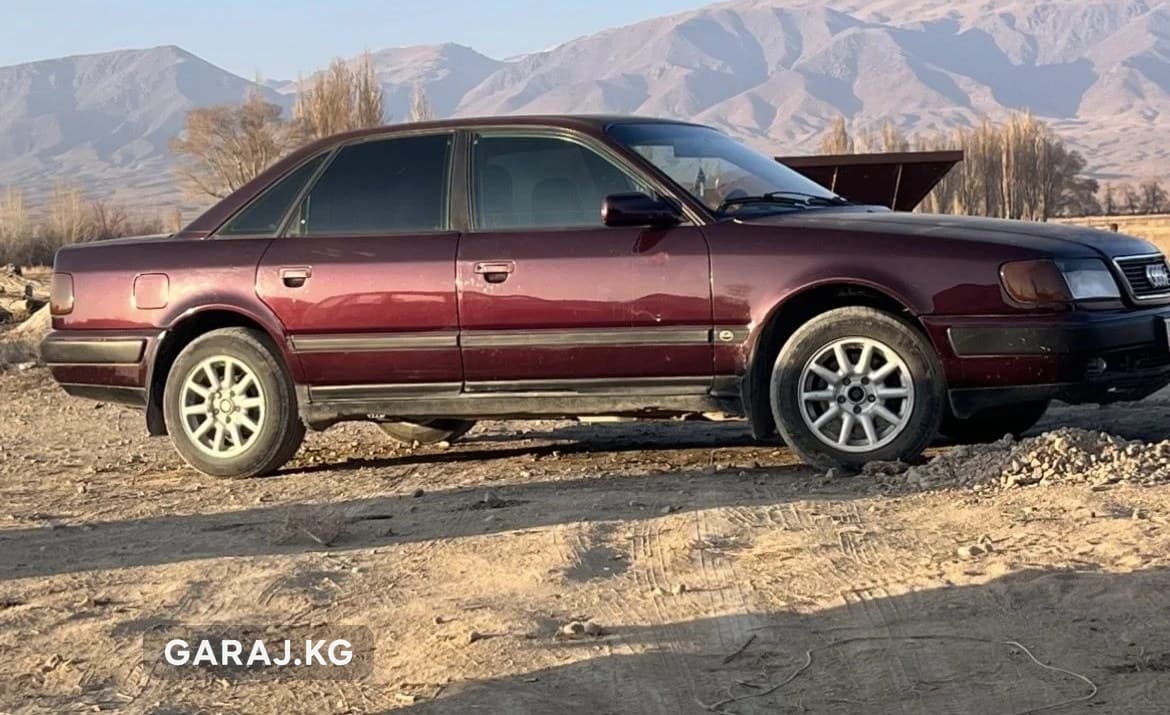 Audi 100 1994, с. Тамчы