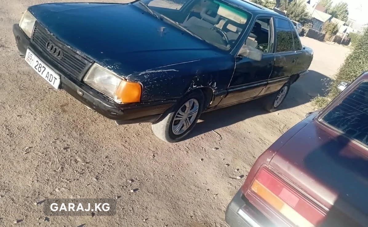 Audi 100 1989, Кочкорка