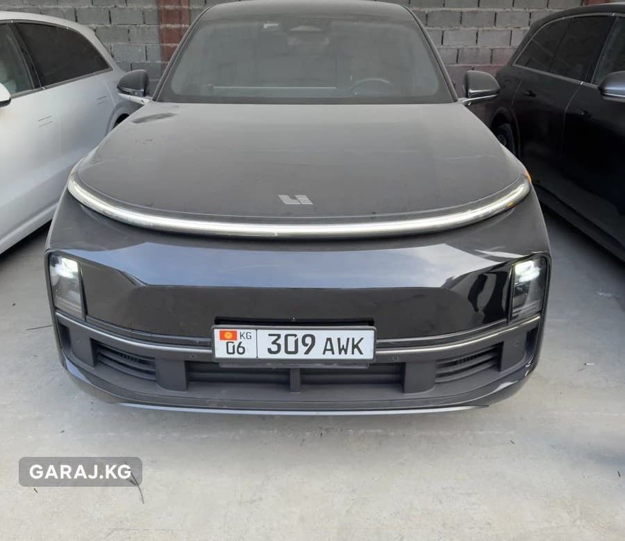 Li Auto (LiXiang) L8 2024, Ош