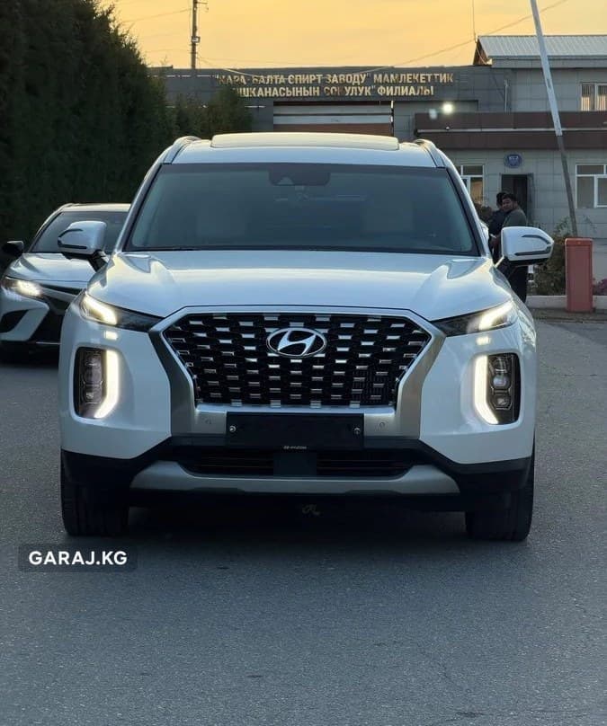 Hyundai Palisade 2019, Сокулук