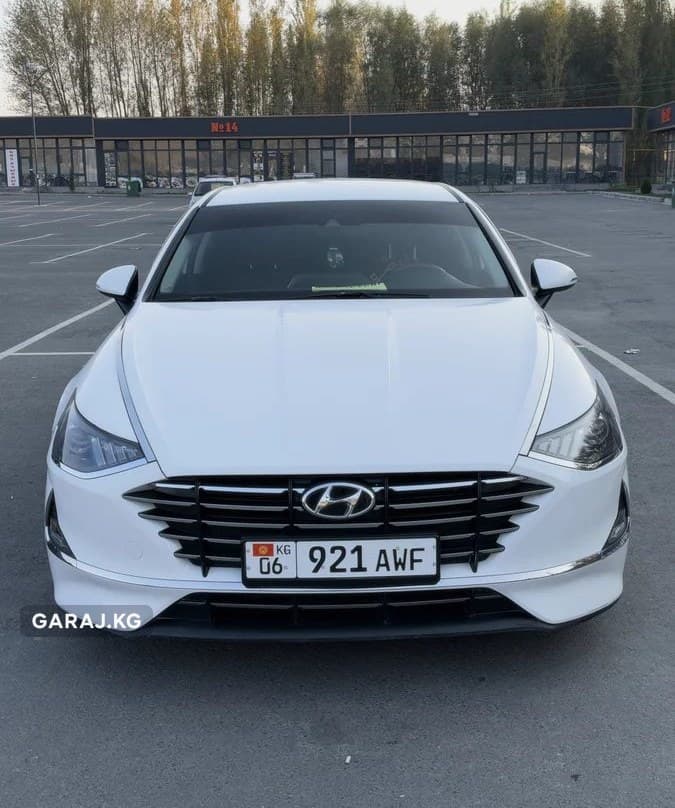Hyundai Sonata 2019, Ош