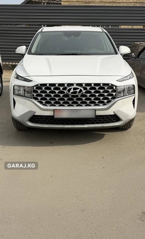 Hyundai Santa Fe 2021, Ош