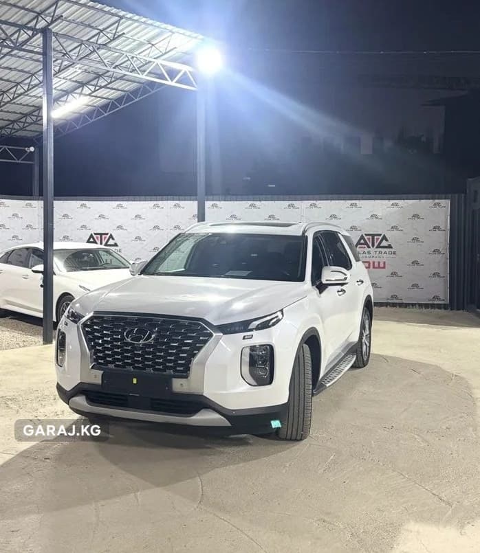 Hyundai Palisade 2020, Ош