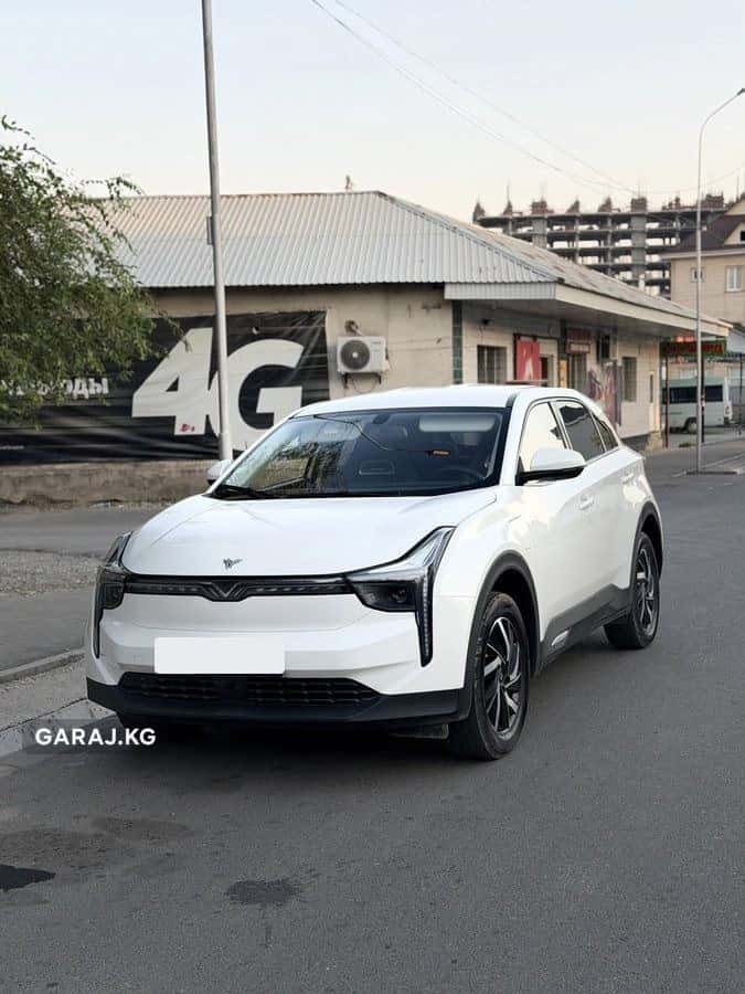 Neta U 2022, Манас