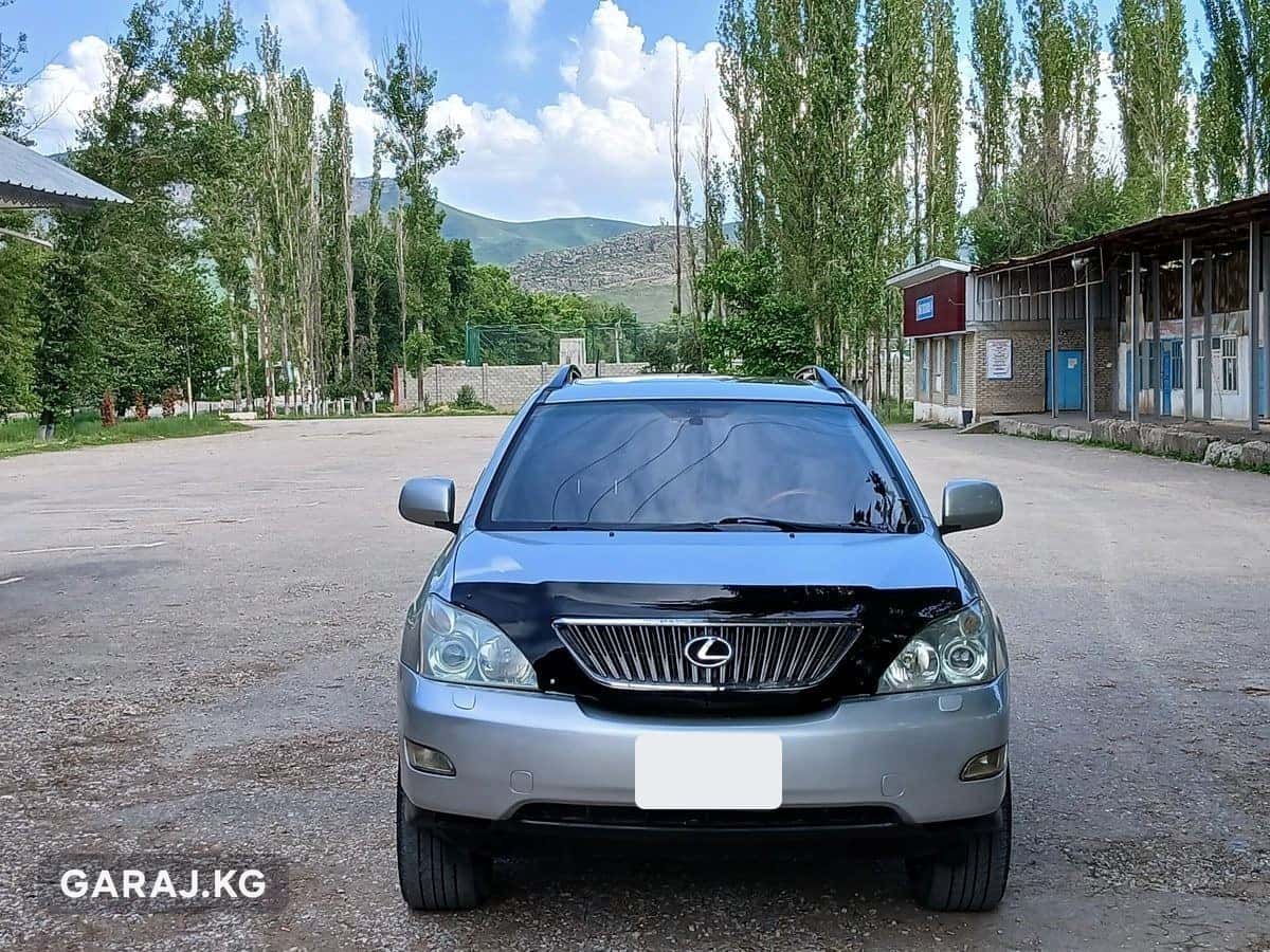 Lexus RX 2003, Кербен